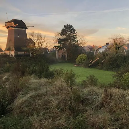Happy Days * Egmond aan Zee